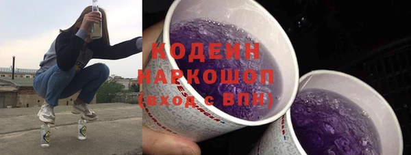гашик Арсеньев