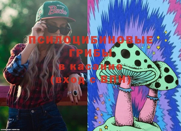 сатива Балахна