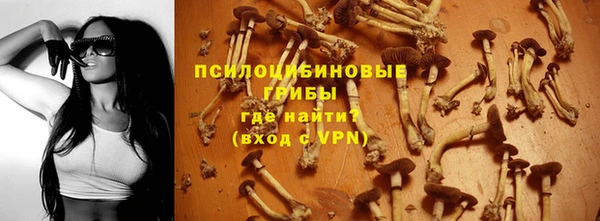 гашик Арсеньев