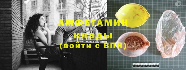 сатива Балахна