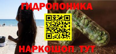 дмт Пенза