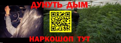 дмт Пенза