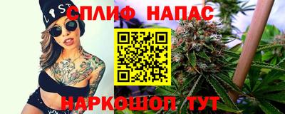 дмт Пенза