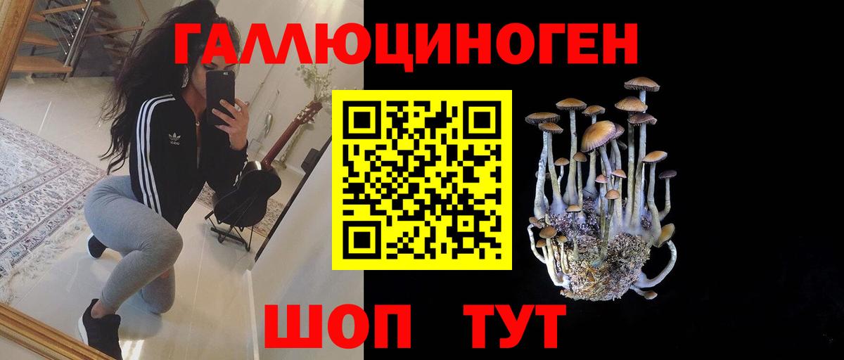 Строитель  Галлюциногенные грибы Cubensis  Вход с VPN 